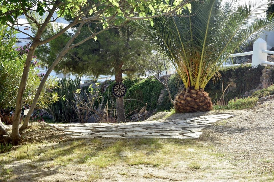 Darts, Garden