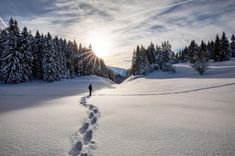 Natural landscape, Winter