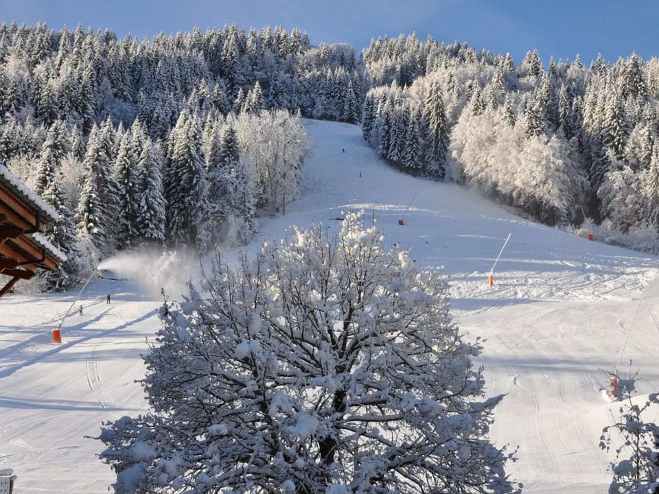Studio proche centre et pistes pour 4 pers. à Morzine - FR-1-684-63 Apartment in Morzine