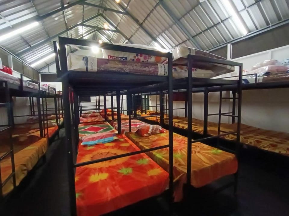 Bed, Photo of the whole room, Bedroom, bunk bed