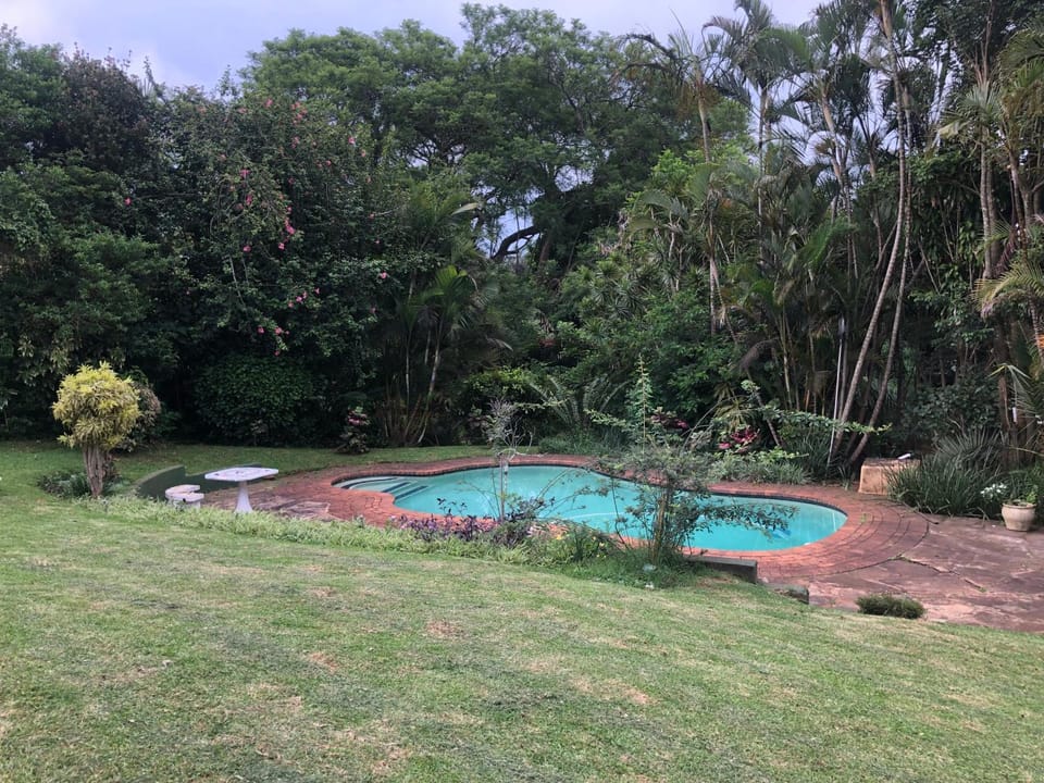 Bee Cozy Apartment in KwaZulu-Natal