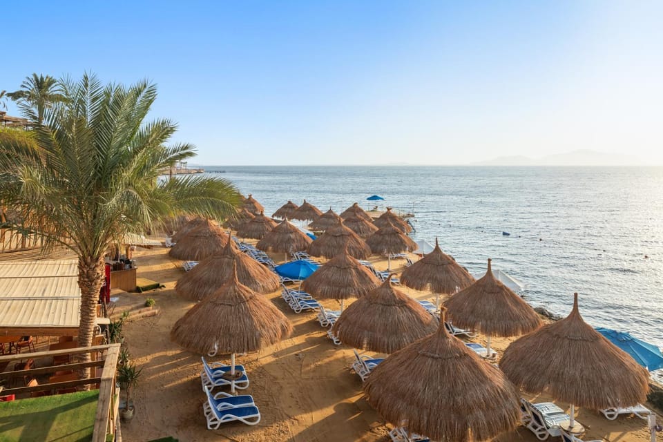 Beach, Sea view, sunbed