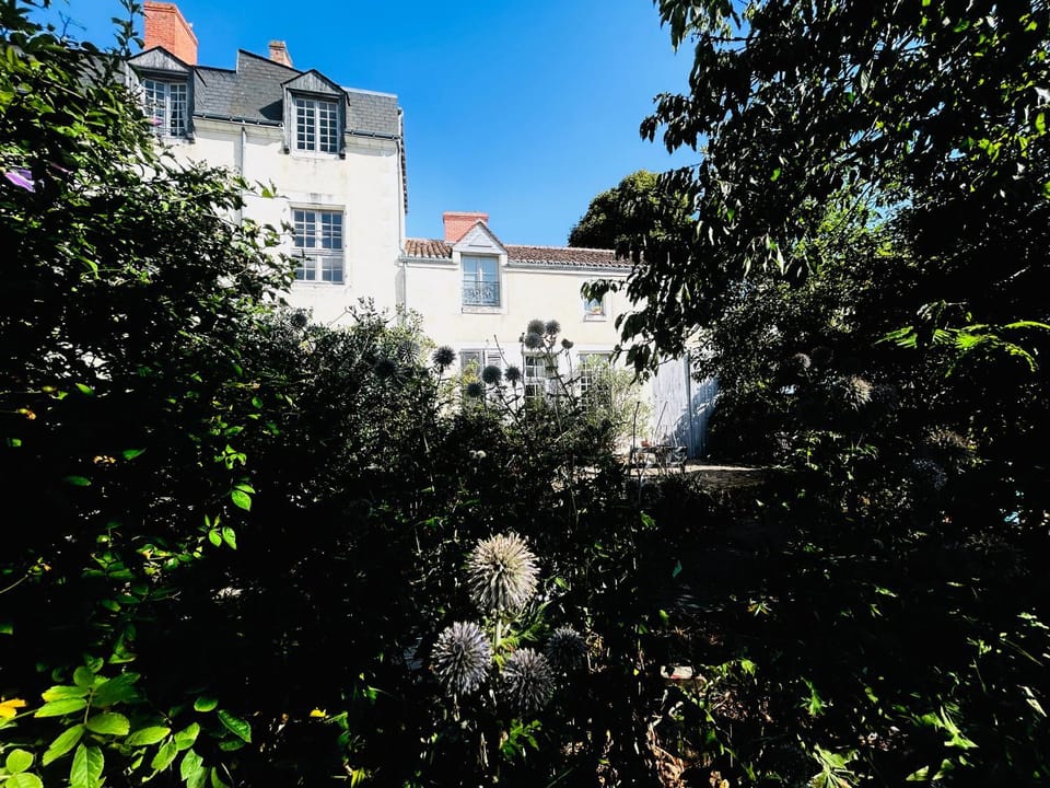Property building, Garden view