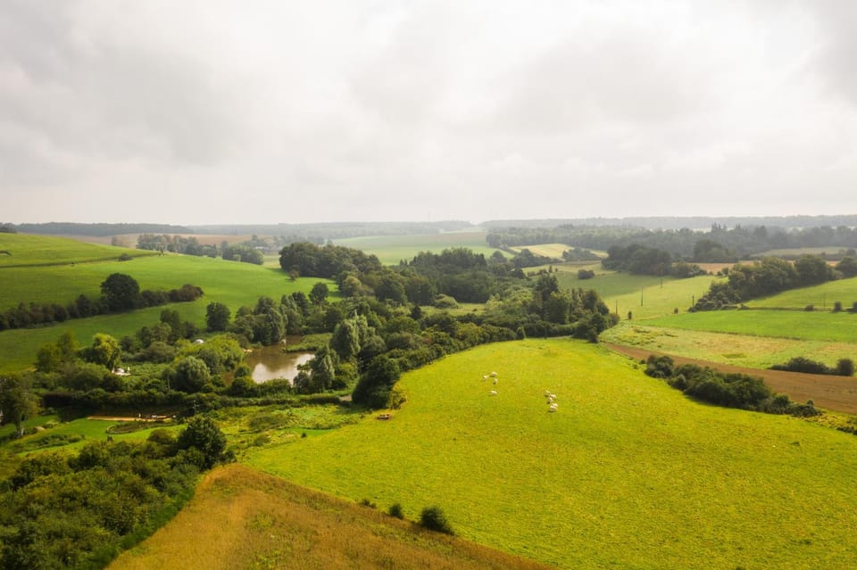 Nids des Marais Luxury tent in Wallonia, Belgium