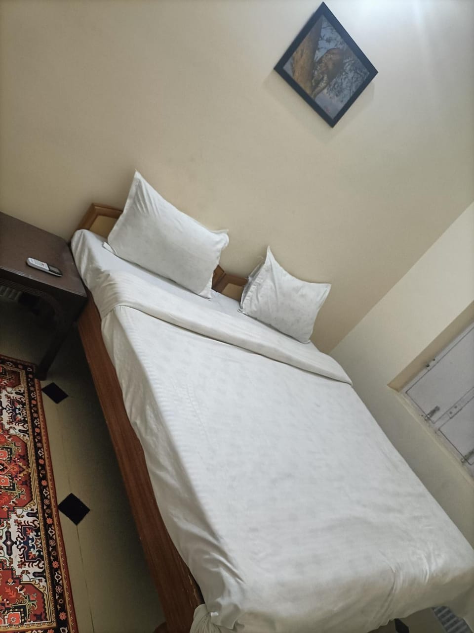 Red king home stay Vacation rental in Rajasthan