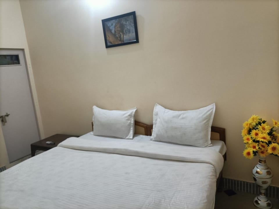 Red king home stay Vacation rental in Rajasthan
