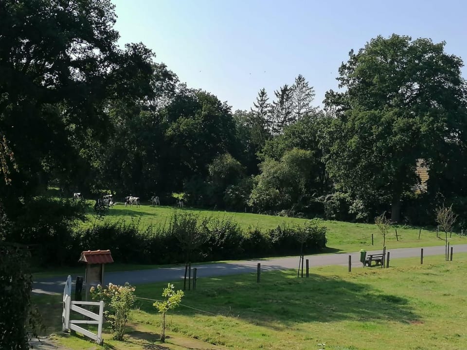 View (from property/room)
