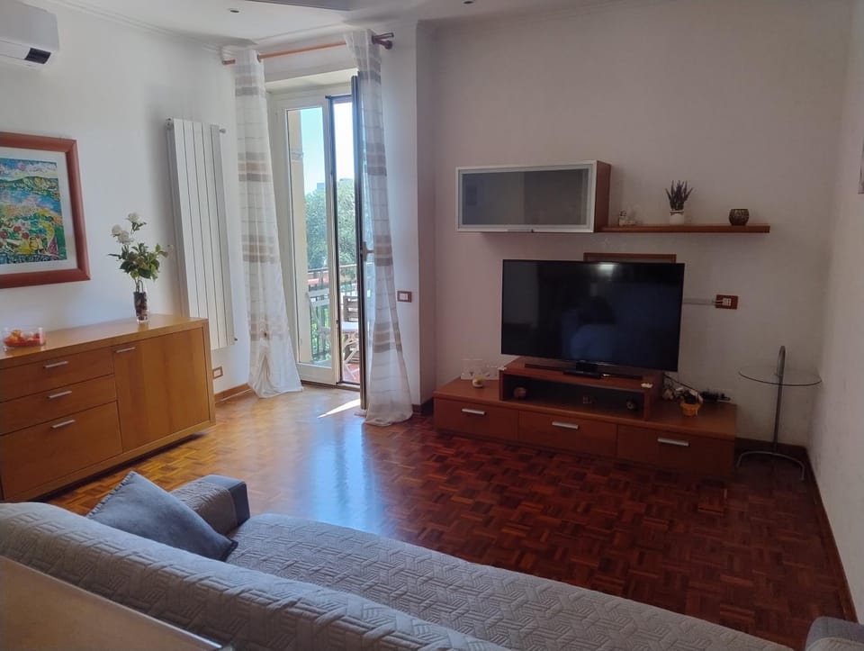 Communal lounge/ TV room, Living room, air conditioner