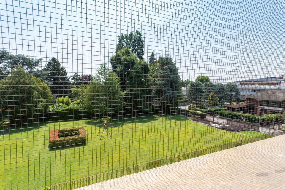 Day, Natural landscape, Garden