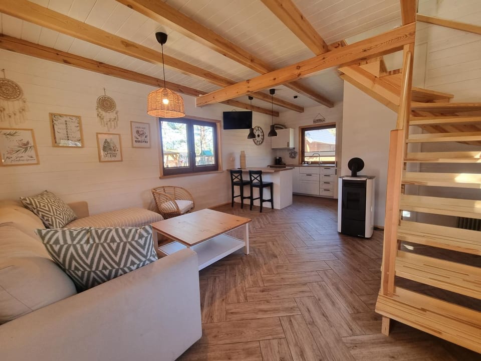 Kitchen or kitchenette, Living room, fireplace, oven, stove, kitchen