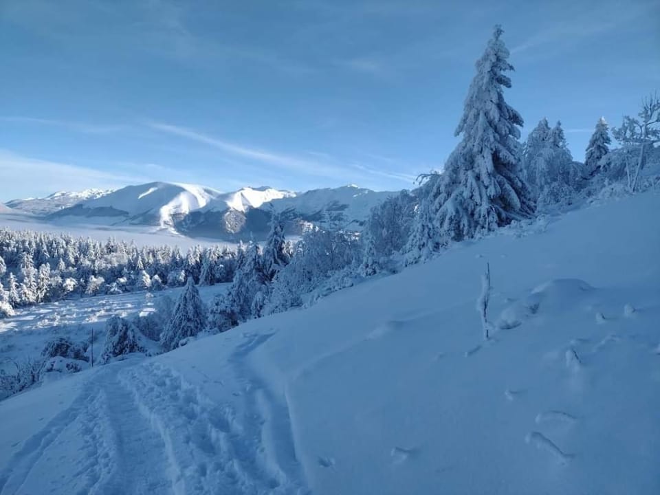 Cosy 2 pièces à deux pas du petit train de la Mure Apartment in Provence-Alpes-Côte d'Azur