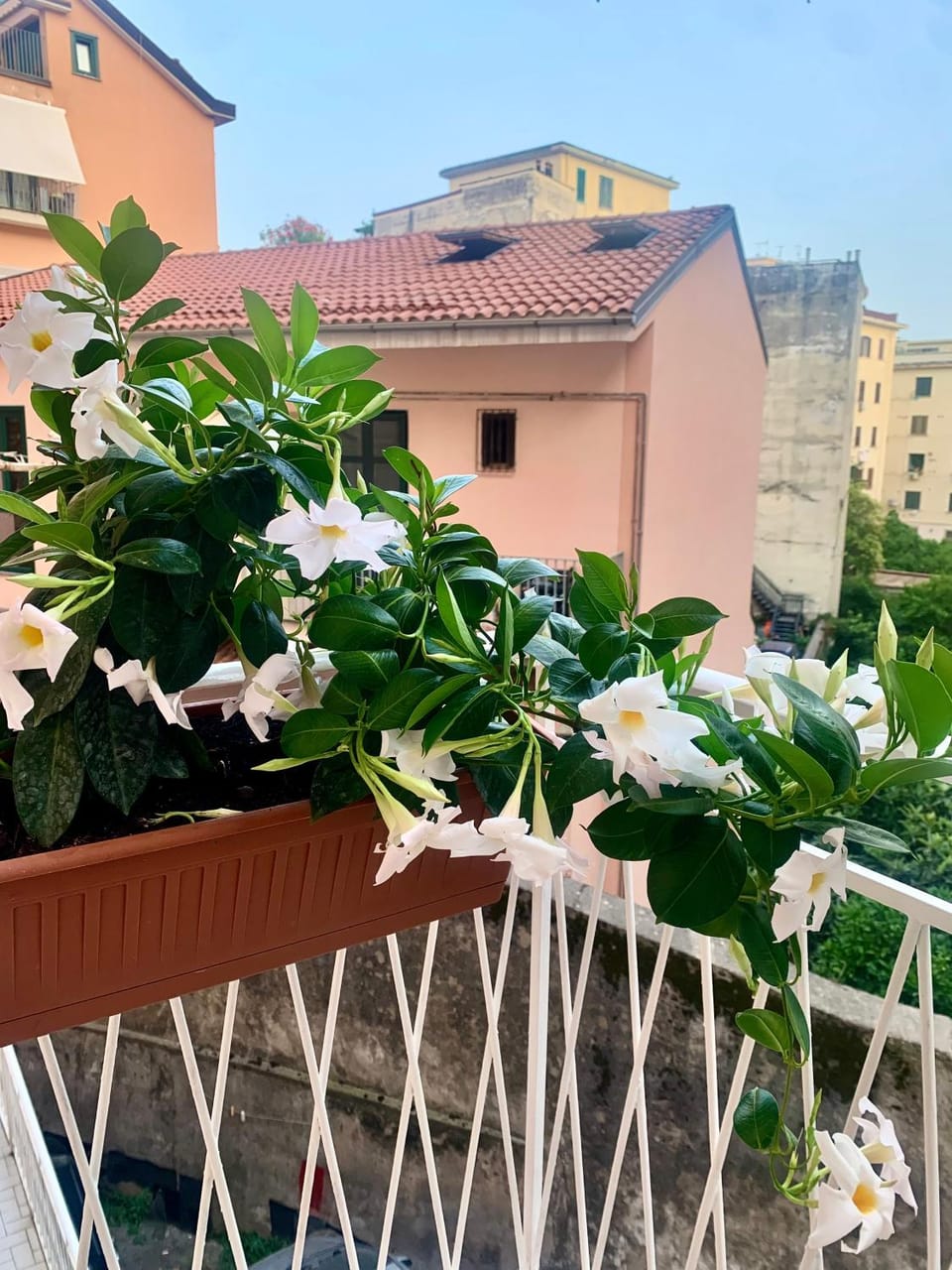 Casa Citro Apartment in Salerno