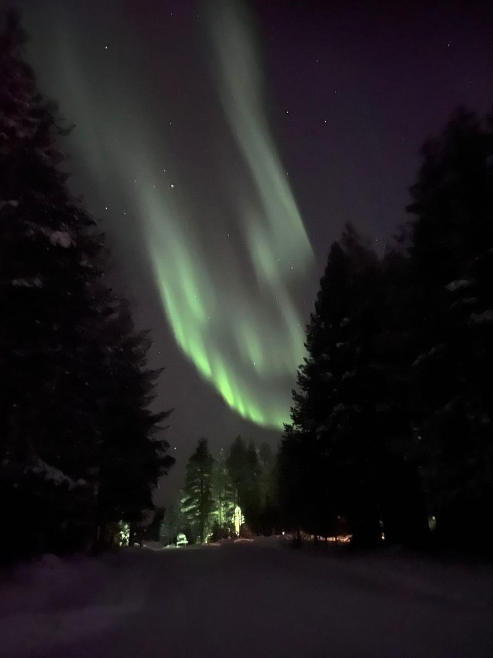 Night, Natural landscape, Winter, Garden