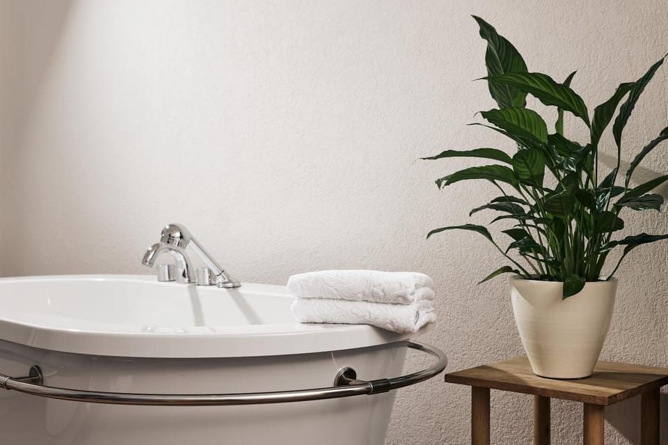 Bathroom, Bath