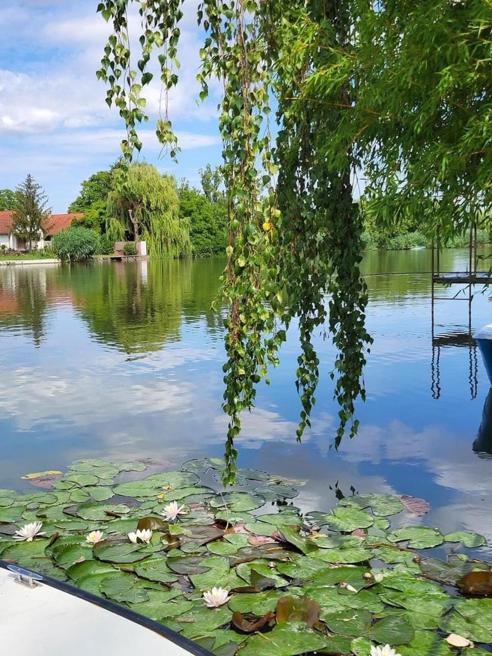 Garden, Garden view