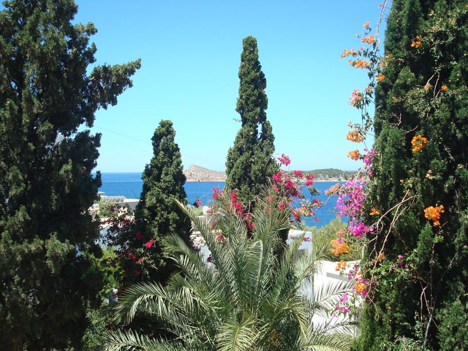 View (from property/room)