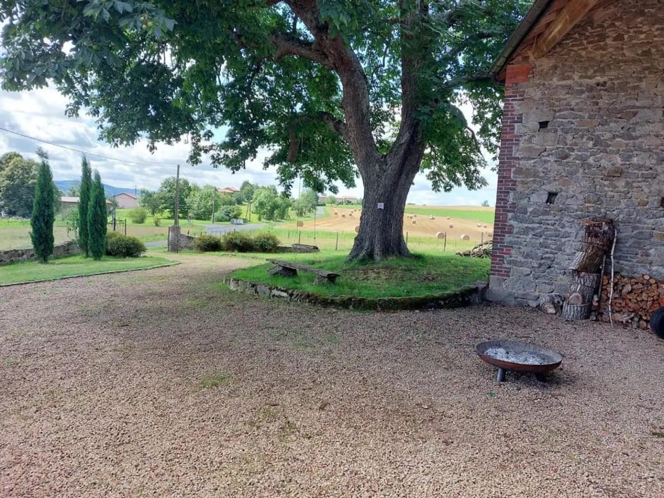 Natural landscape, Garden, Garden view