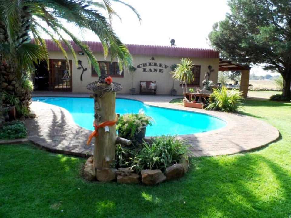 Day, Garden, Decorative detail, Garden view, Pool view, Swimming pool