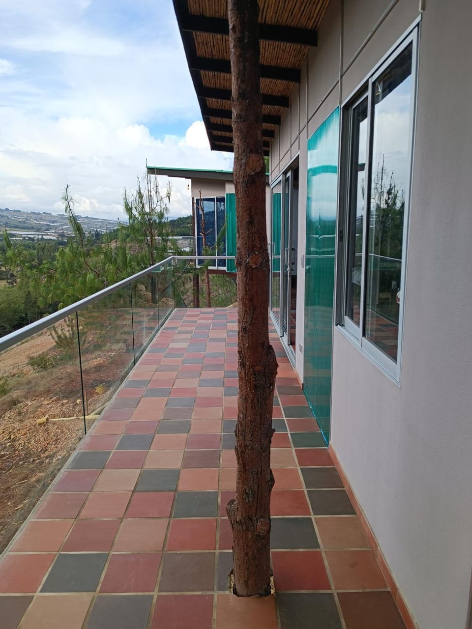 Garden view
