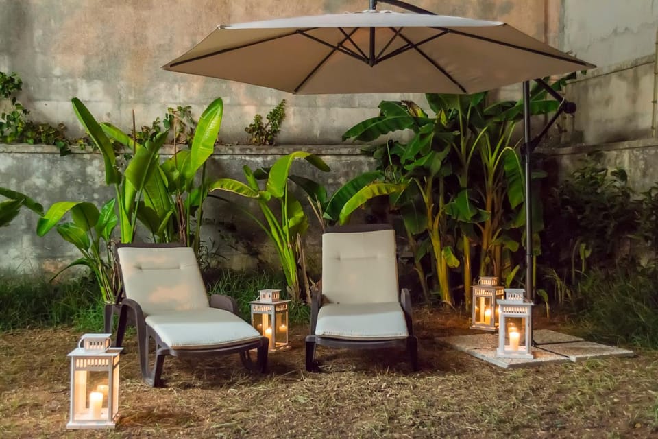Garden, Garden view, sunbed