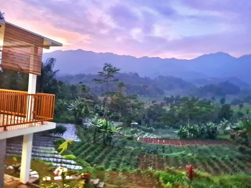 Natural landscape, Garden, View (from property/room), Mountain view