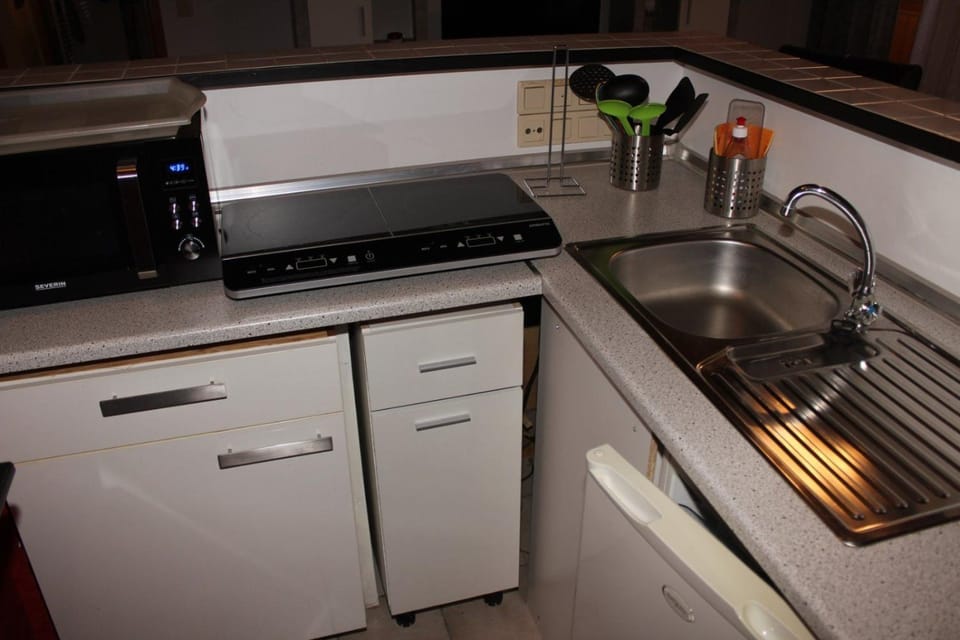 Kitchen or kitchenette, minibar, pet friendly, stove