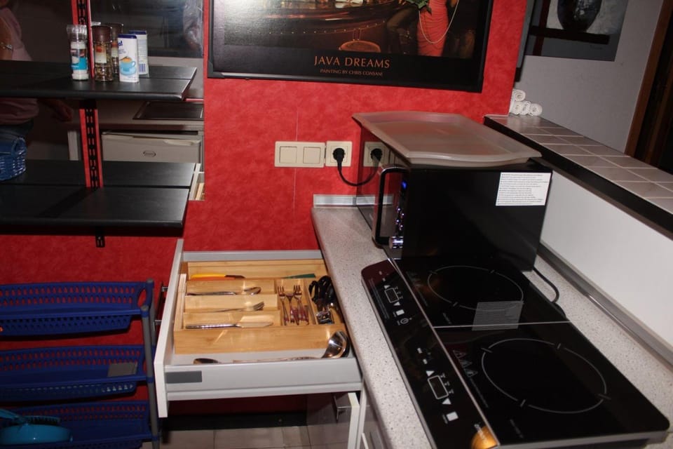 Kitchen or kitchenette, minibar, stove, toaster