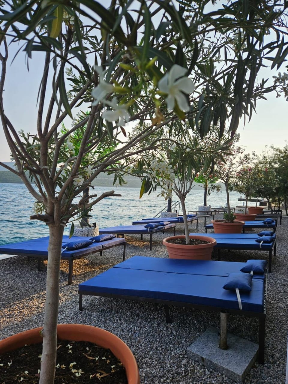 Apartments Villa Dom Bed and Breakfast in Neum