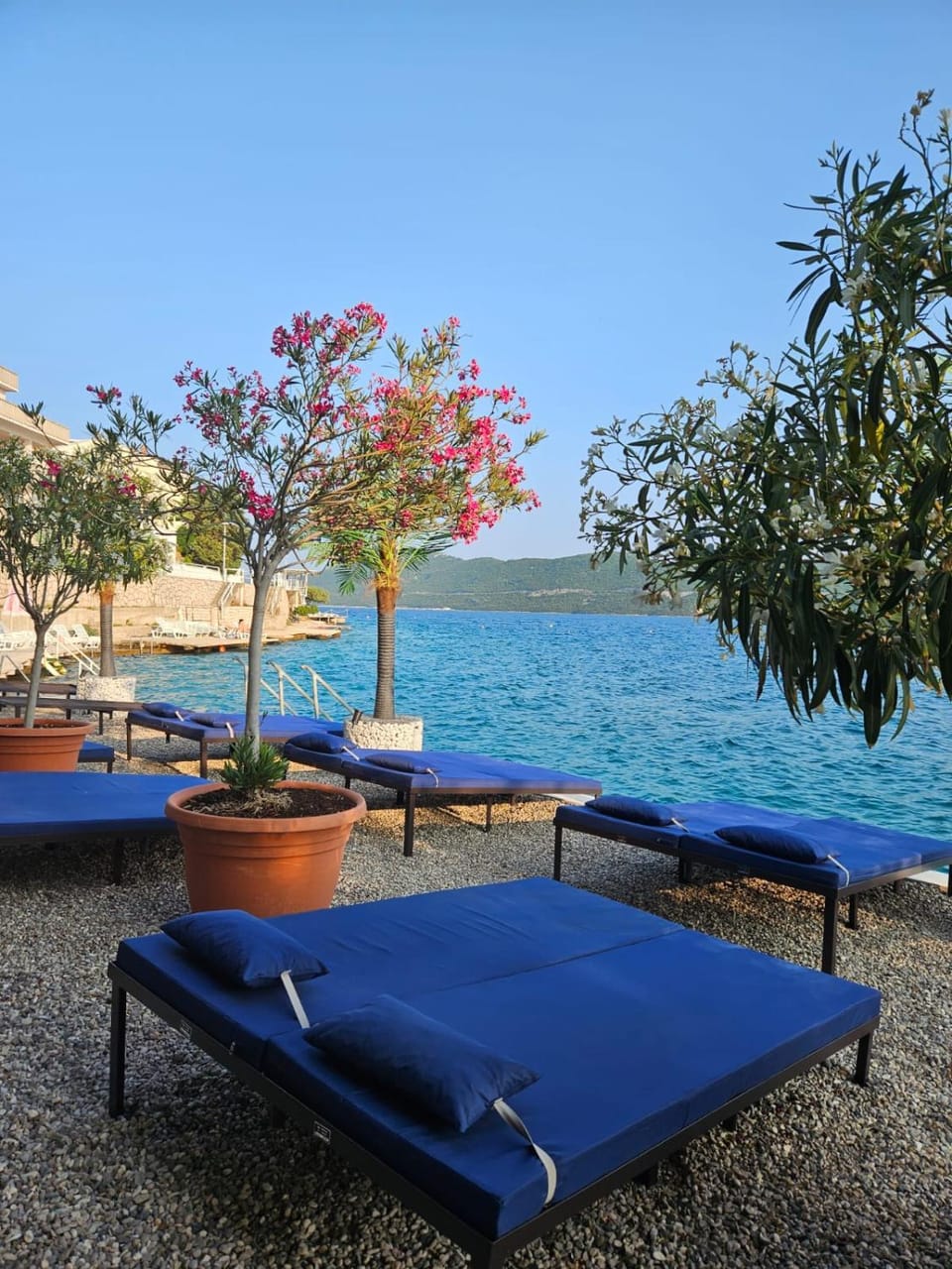 Apartments Villa Dom Bed and Breakfast in Neum