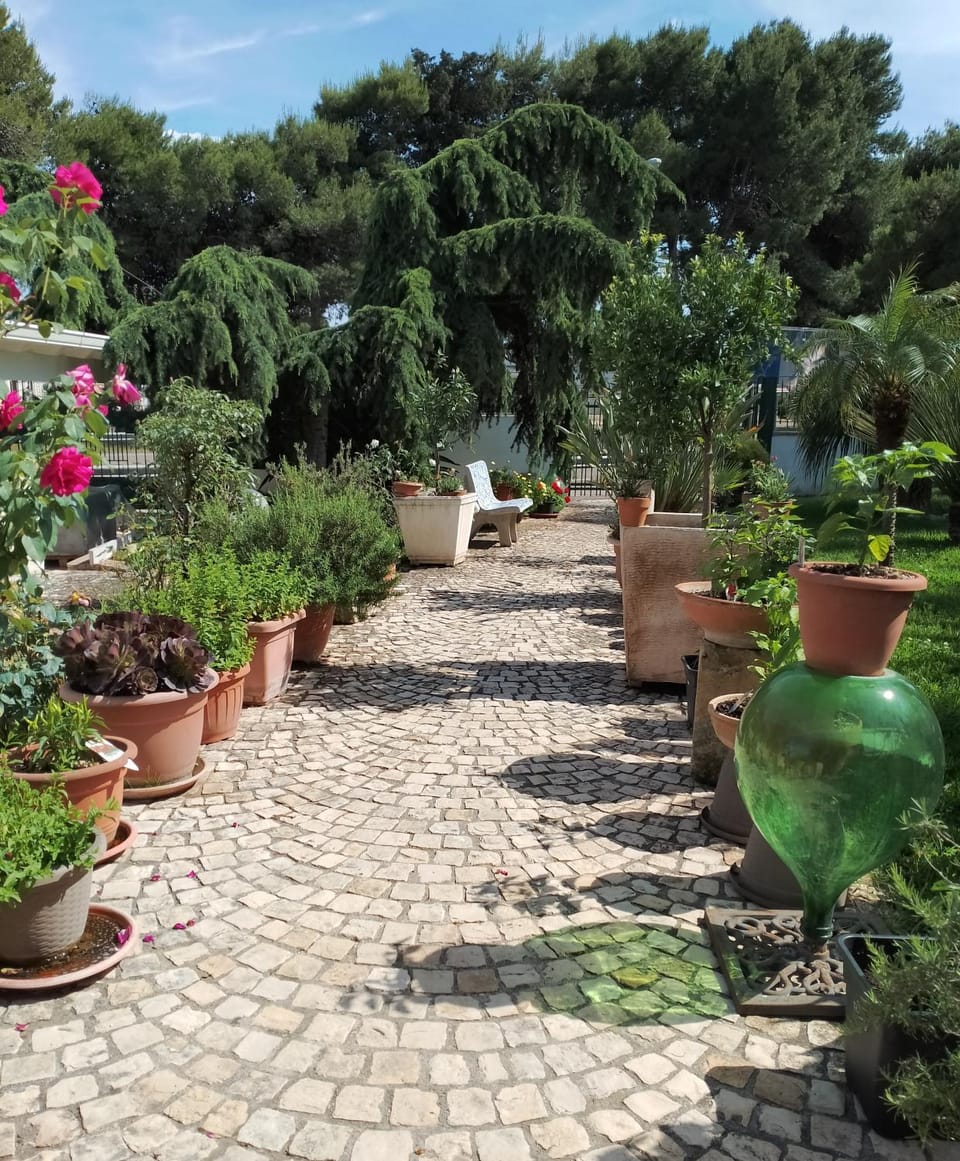 Garden
