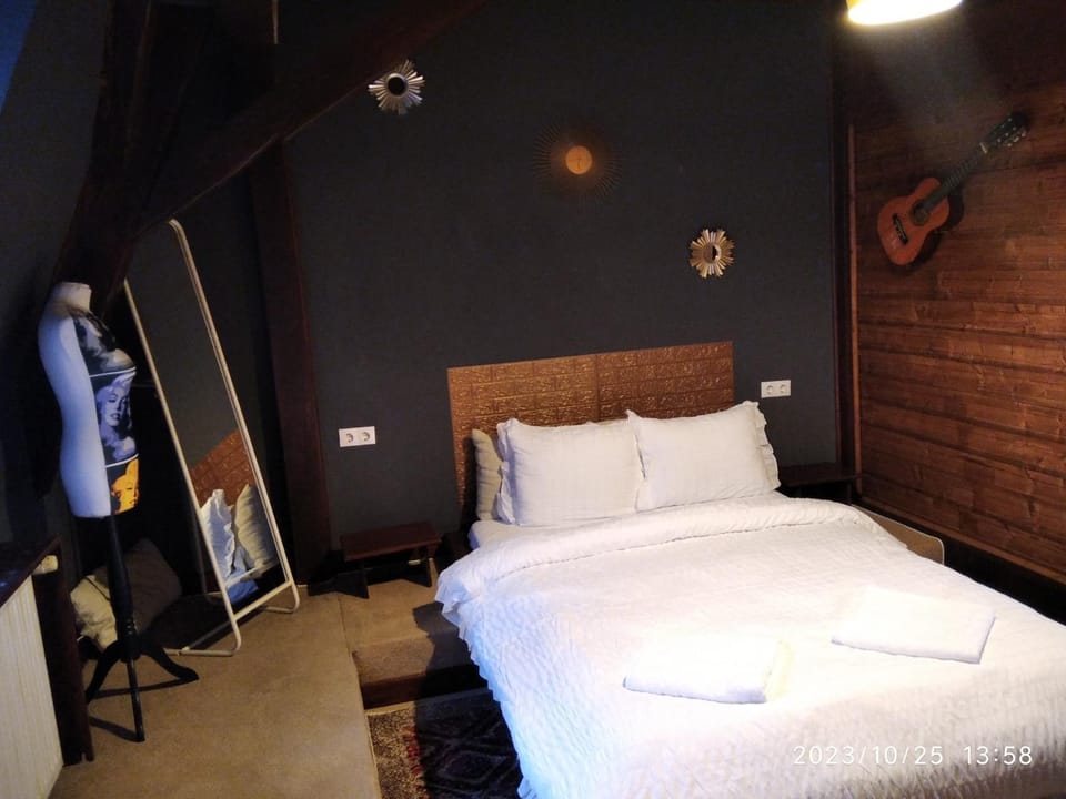 CASTEL RESIDENCE Apartment in Brasov