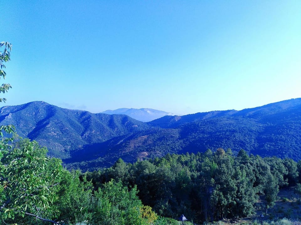 View (from property/room)
