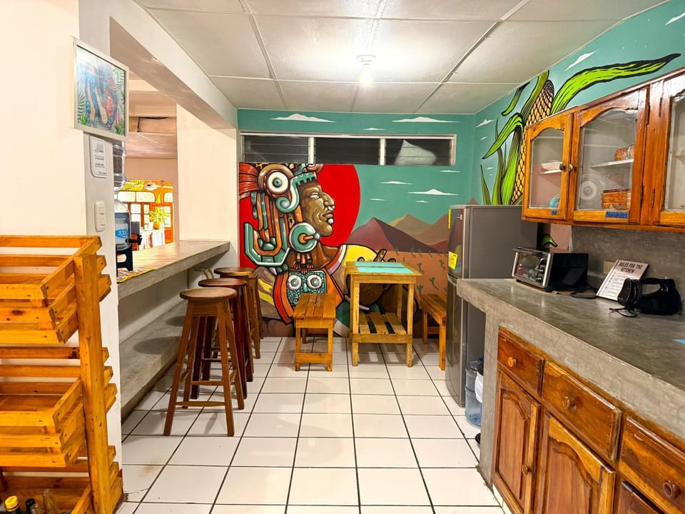 Communal kitchen, kitchen