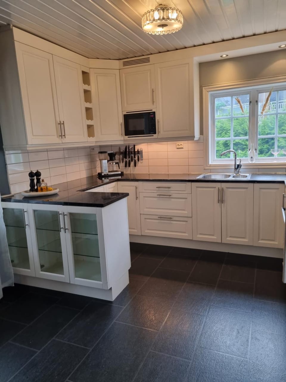 Kitchen or kitchenette, dishwasher, minibar, pet friendly, stove