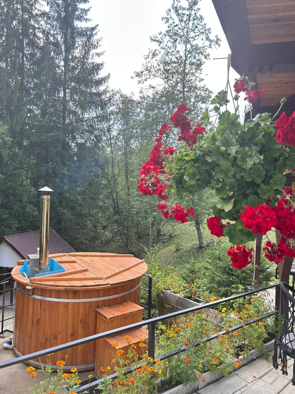 Vila Iulia Villa in Prahova, Romania