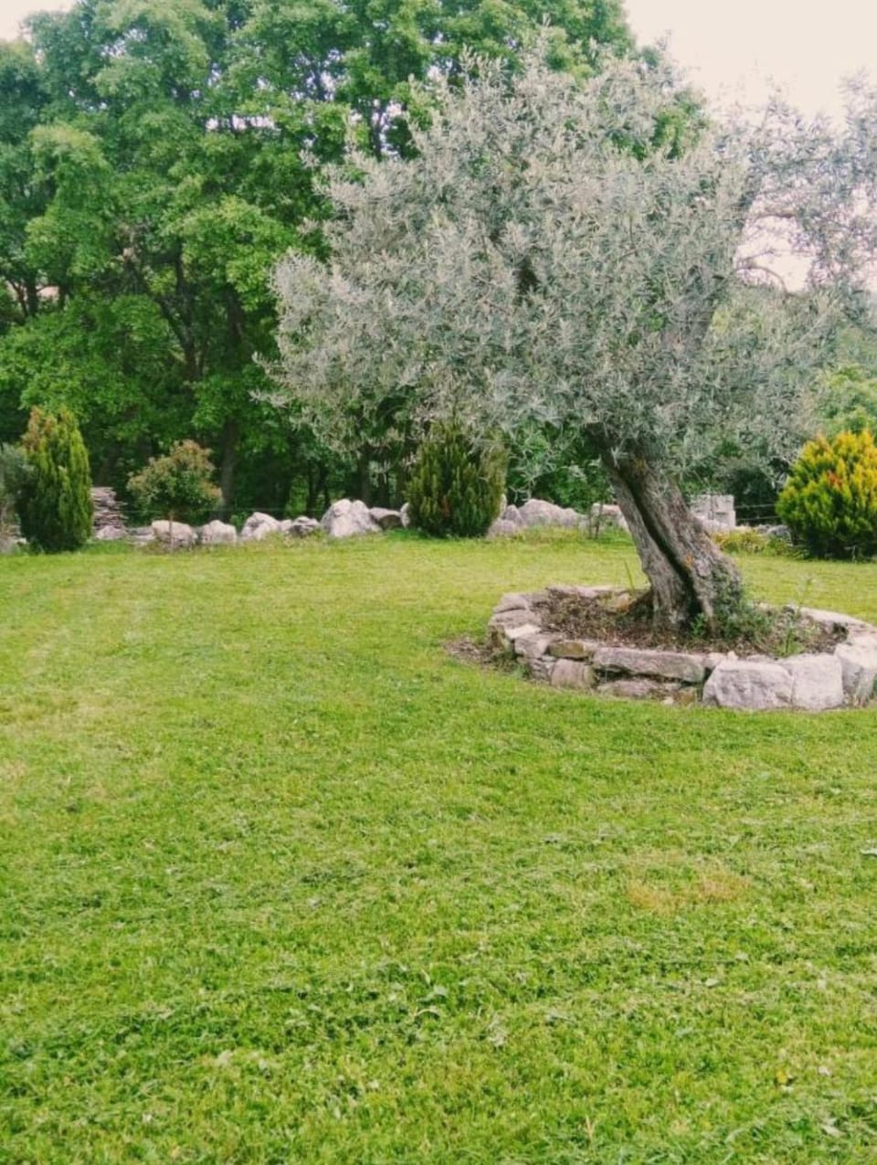 Spring, Day, Natural landscape, Garden, Garden view