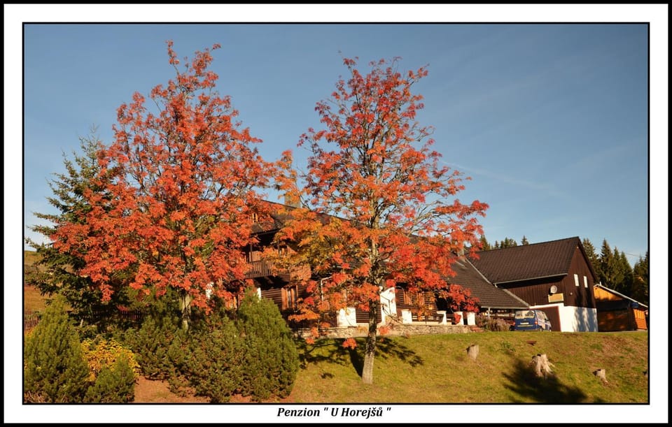 Autumn