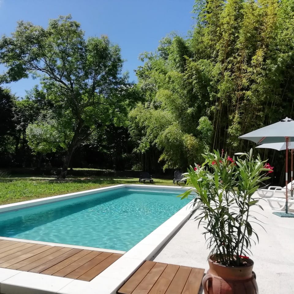 Swimming pool, Swimming pool