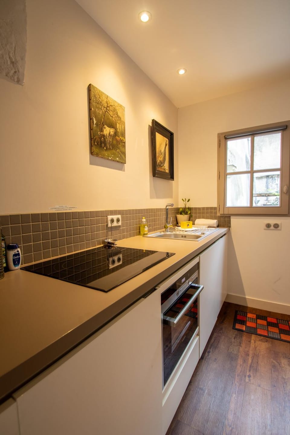 Kitchen or kitchenette, dishwasher, minibar, pet friendly, stove