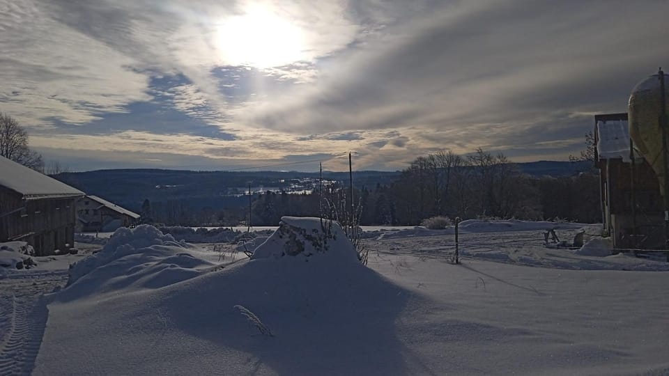 Winter