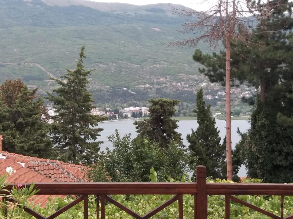 Inner courtyard view