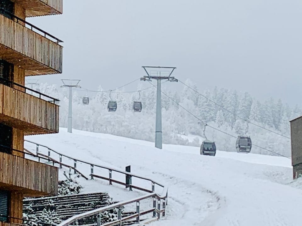 Natural landscape, Ski School, Skiing, Skiing, View (from property/room)