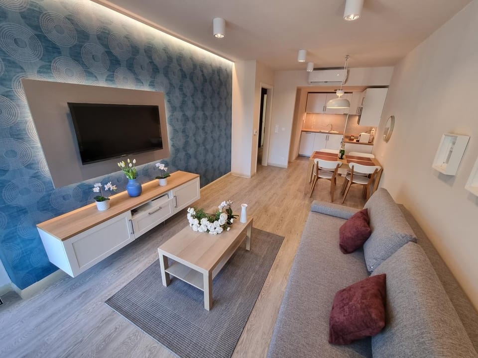 Bed, TV and multimedia, Kitchen or kitchenette, Living room, Photo of the whole room, Seating area, Dining area, Bedroom