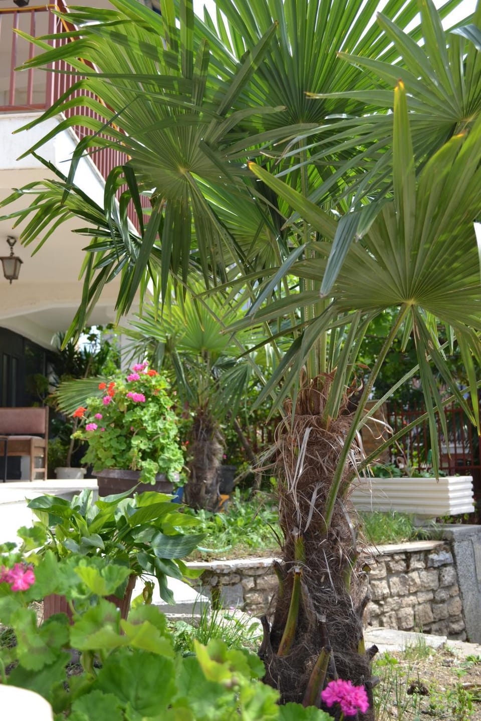 Garden, Garden view