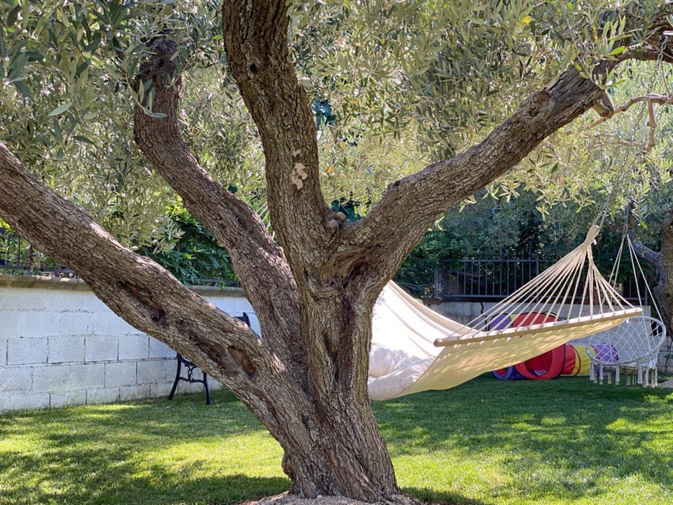 Natural landscape, Garden