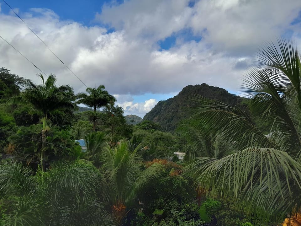 Valley View Apartment in Dominica
