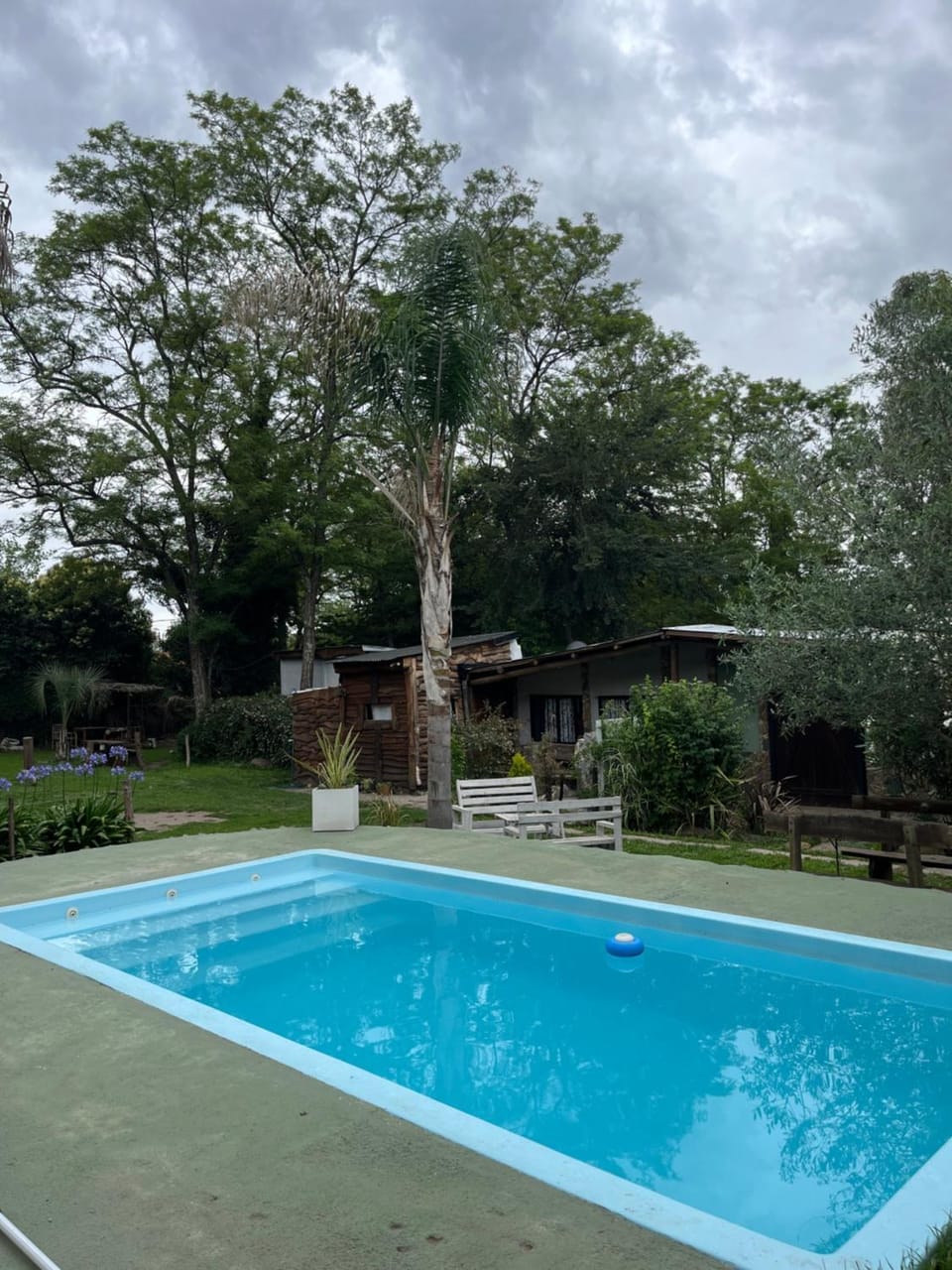 Garden, Swimming pool
