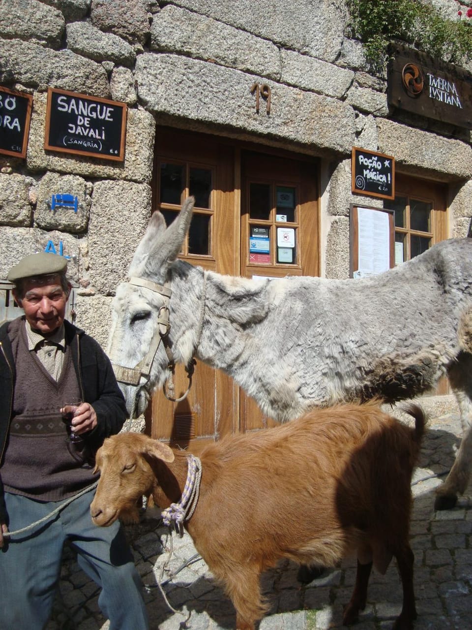 Taverna Lusitana Bed and Breakfast in Extremadura, Spain