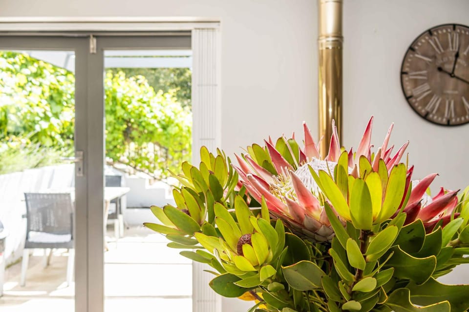 Maroon Belles Apartment in Cape Town