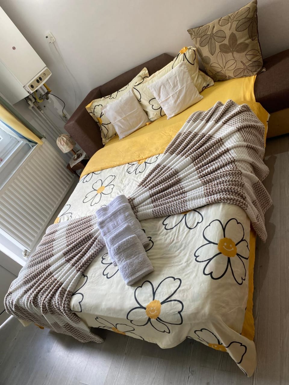 Anca Drambarean Apartment in Romania